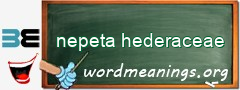 WordMeaning blackboard for nepeta hederaceae